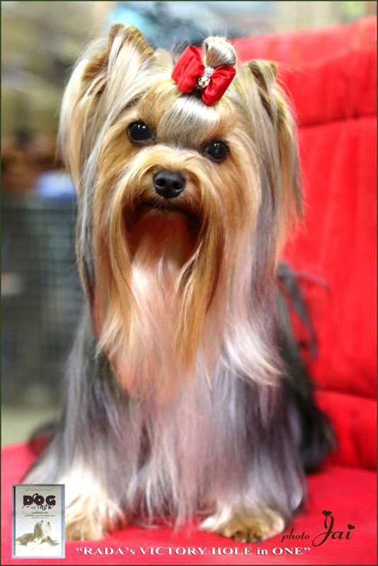 Radas Victory Hole In One